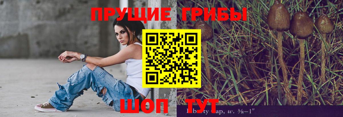 Галлюциногенные грибы мицелий  Вход с VPN  Новошахтинск 